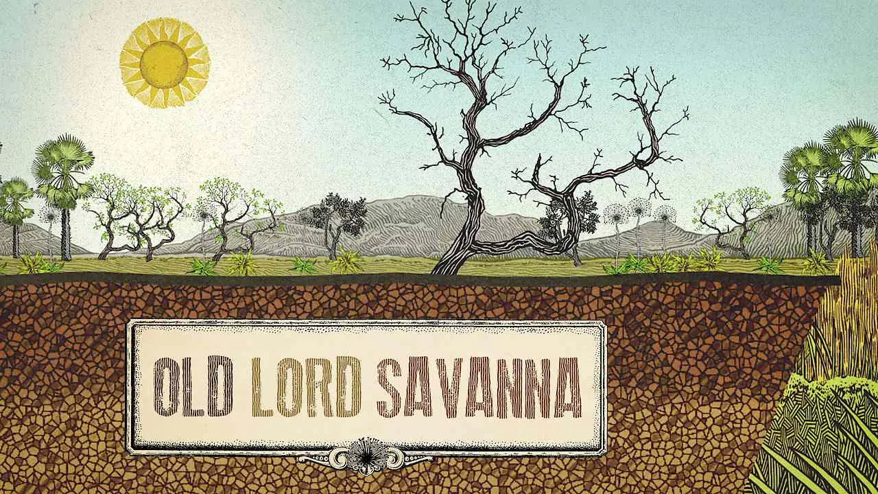 Old Lord Savanna2018