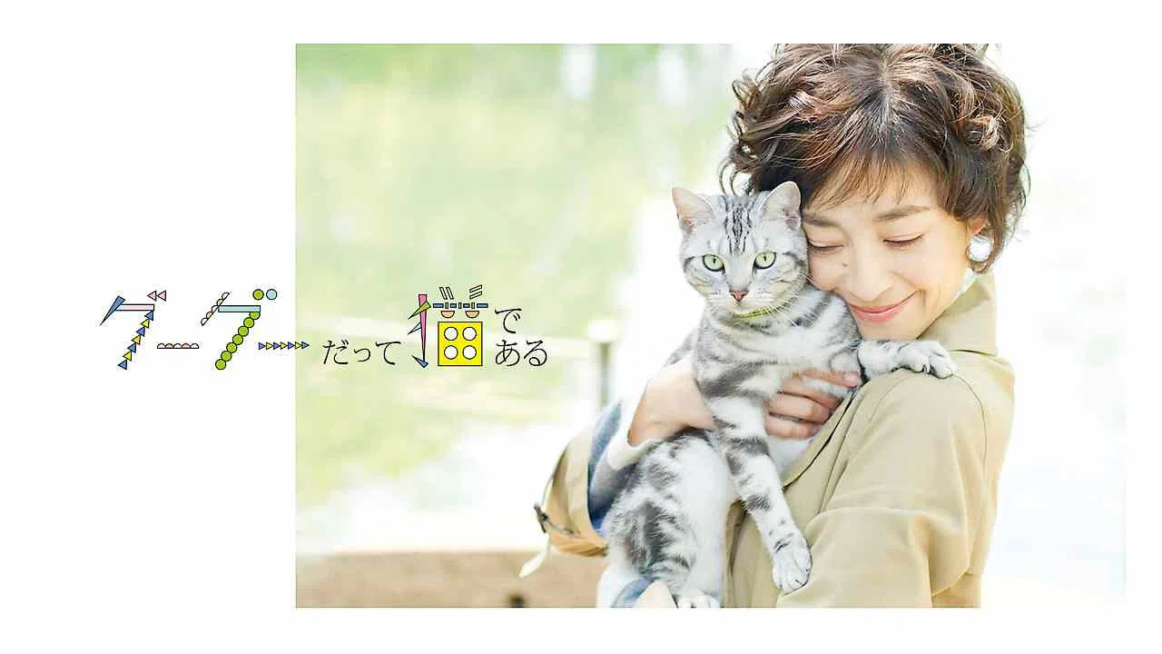 Gou-Gou: My Love, My Cat2014