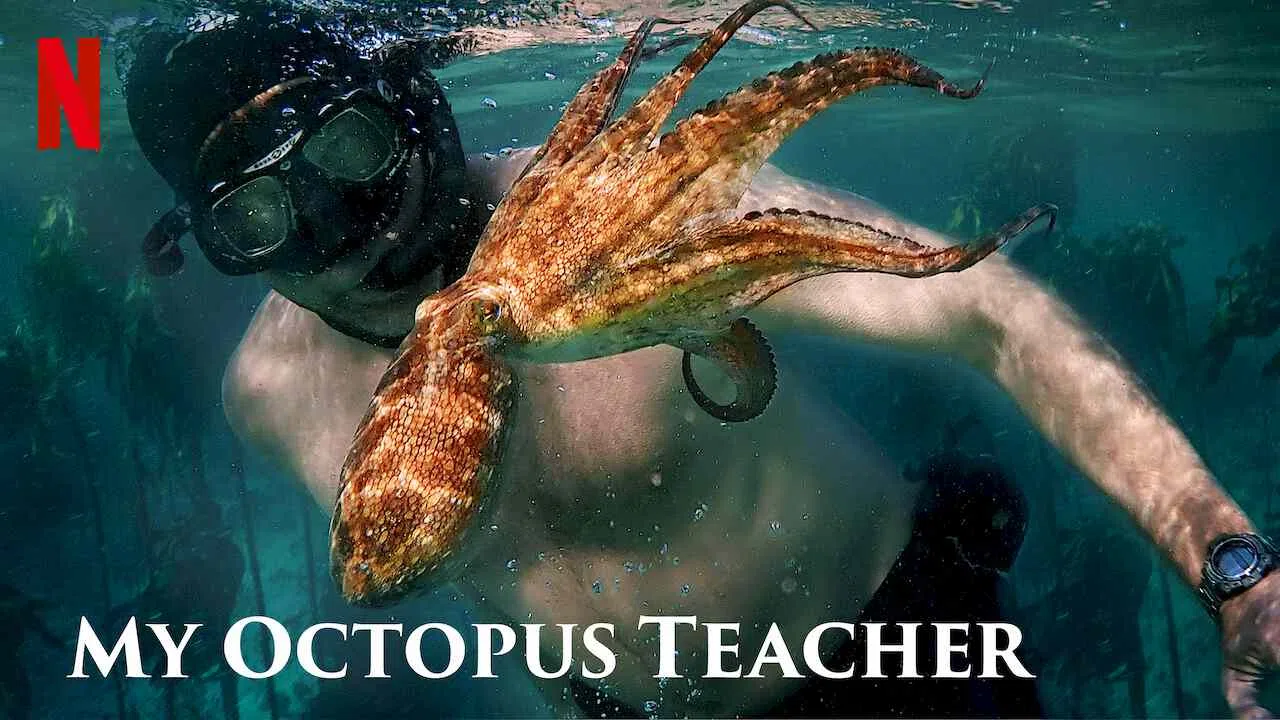 My Octopus Teacher2020