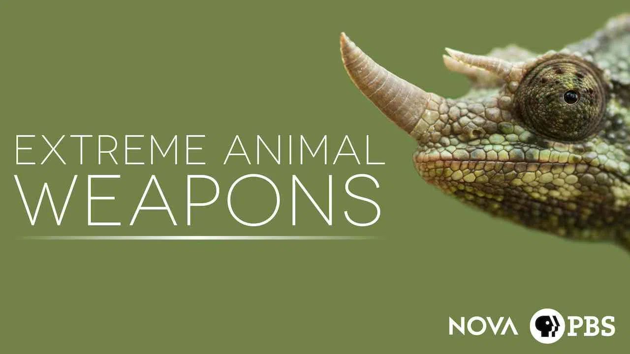 NOVA: Extreme Animal Weapons2017
