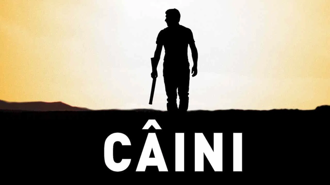 Caini2016