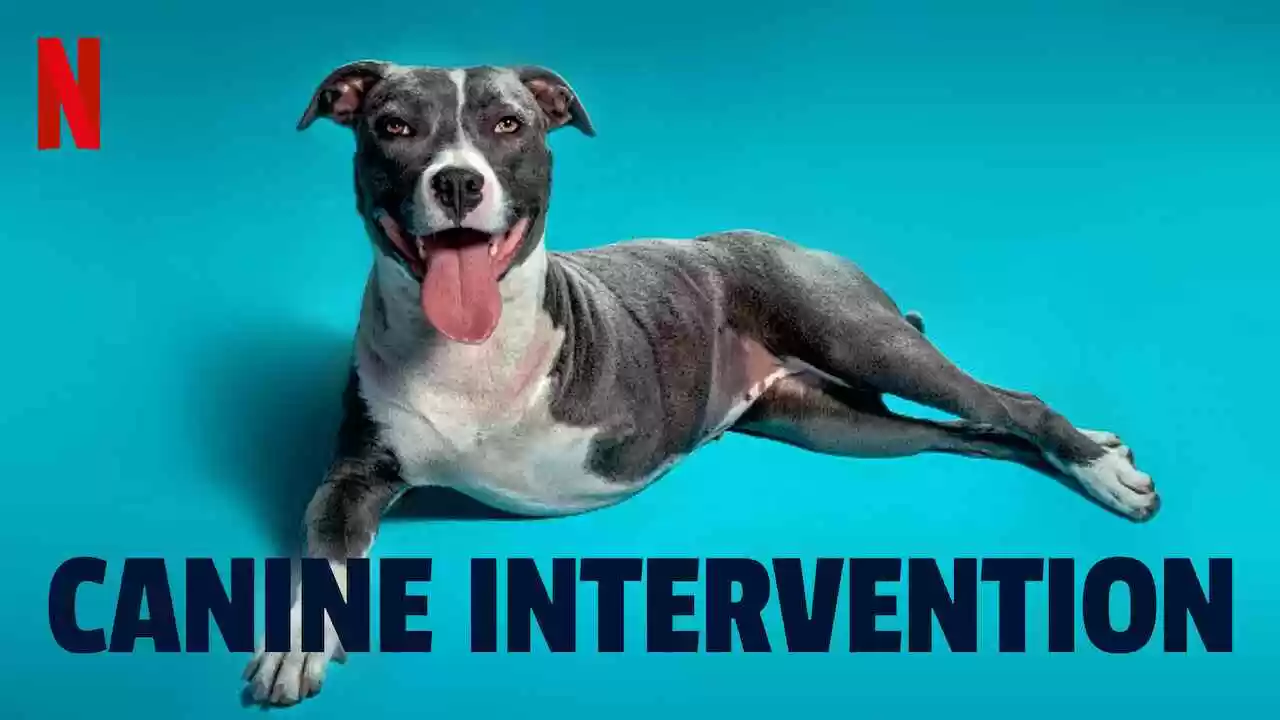 Canine Intervention2021