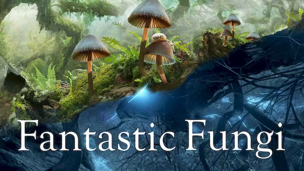 Fantastic Fungi2019