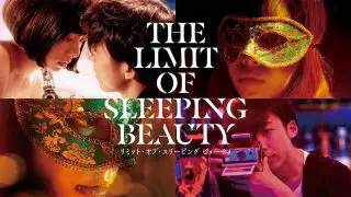 The Limit of Sleeping Beauty 2017