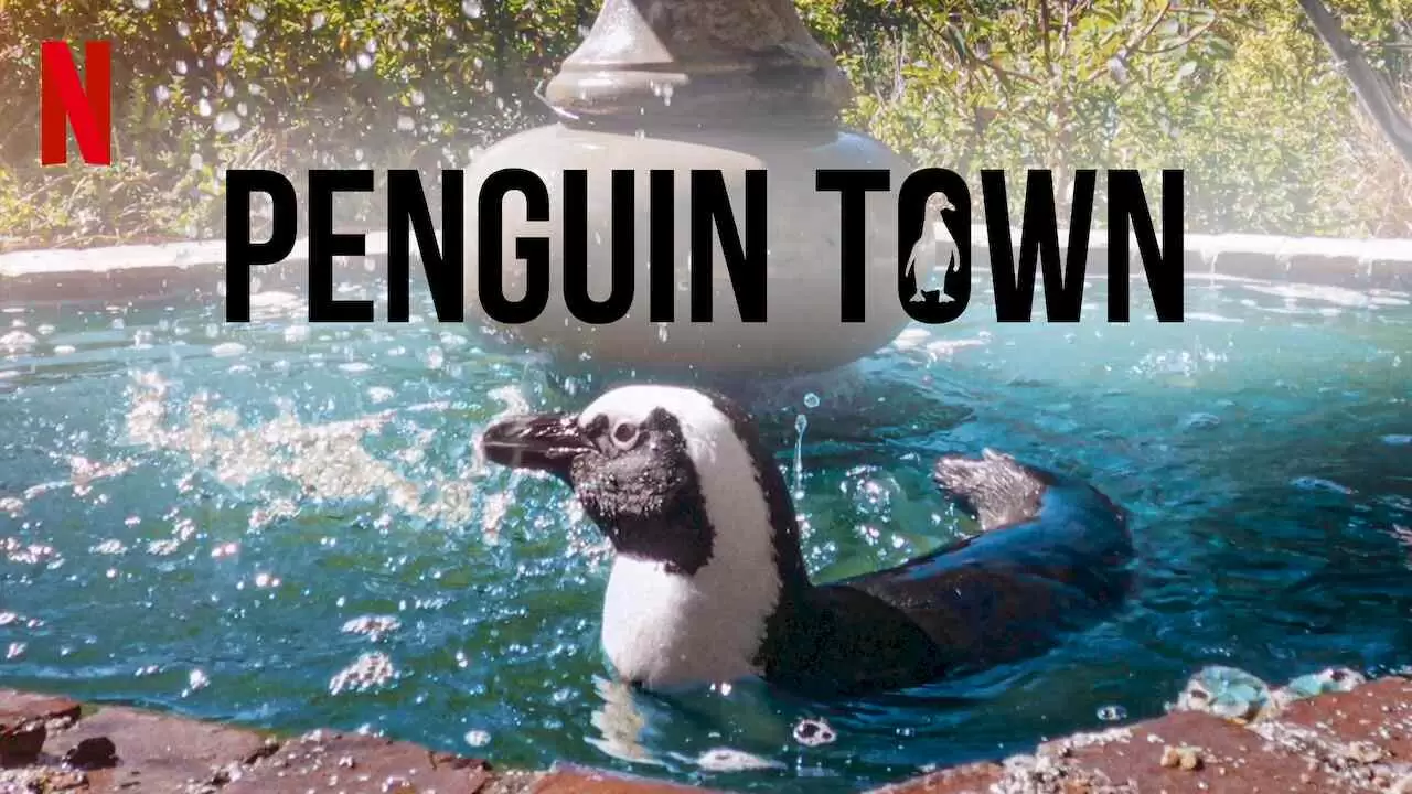Penguin Town2021