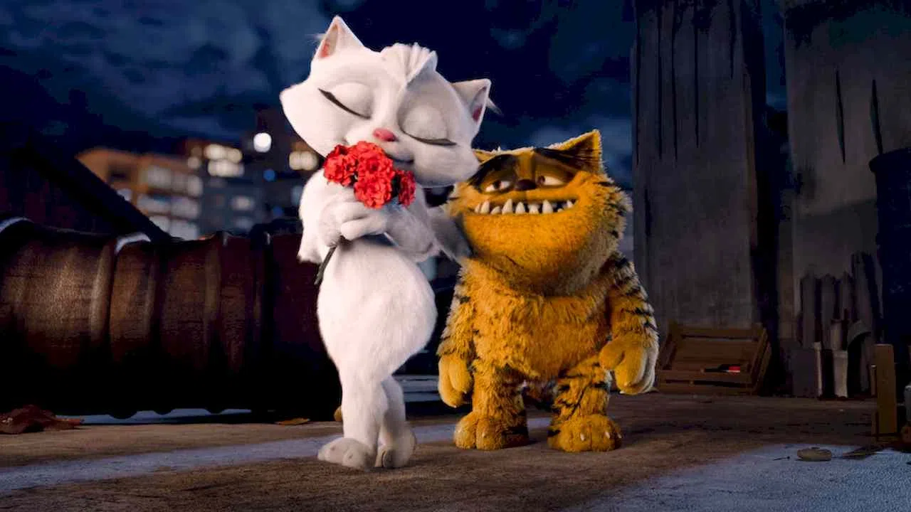 Is Movie Bad Cat Kotu Kedi Serafettin 2016 Streaming On Netflix