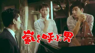 Man Who Causes a Storm (Arashi o yobu otoko) 1957