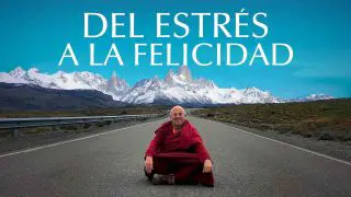 A Road To Wellbeing (Del Stress a la Felicidad) 2020