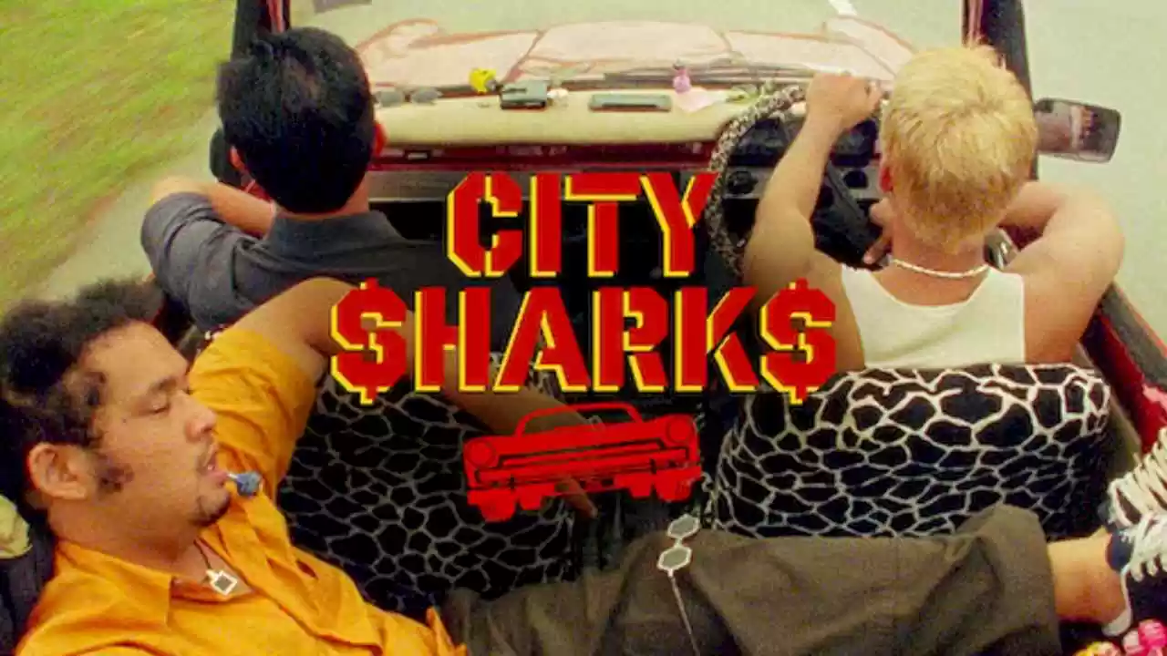 City Sharks2003