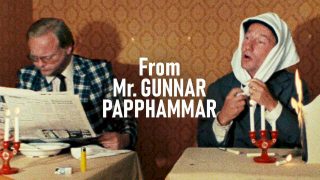 From Mr. Gunnar Papphammar (Från och med herr Gunnar Papphammar) 1981
