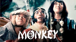 Monkey 1981