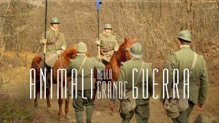 Animals In The Great War (Animali nella Grande Guerra) 2015