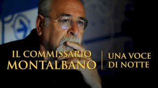 Montalbano: A Voice in the Night (Una voce di notte) 2013