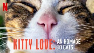 Kitty Love: An Homage to Cats (Poeslief: een ode aan de kat) 2021