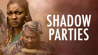 Shadow Parties 2020