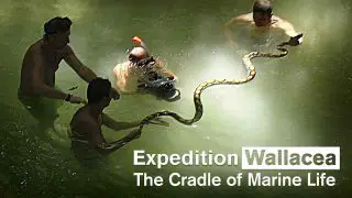 Expedition Wallacea – The Cradle of Marine Life 2007