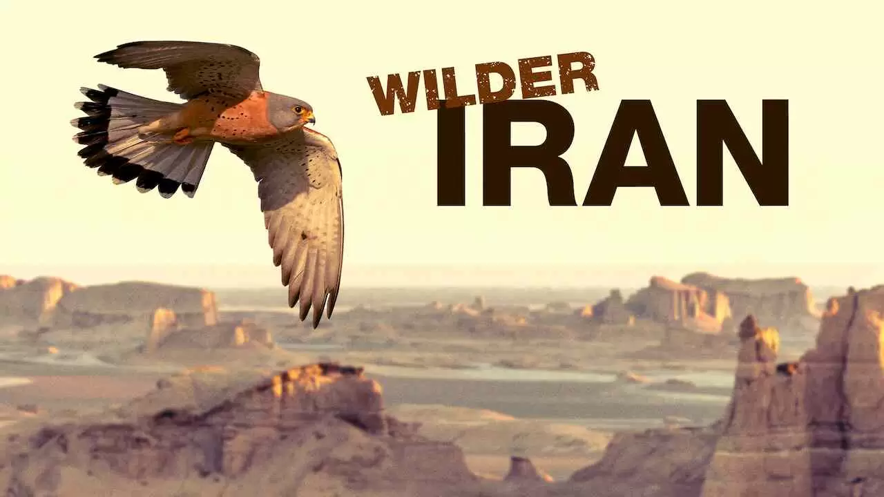 Wilder Iran2012