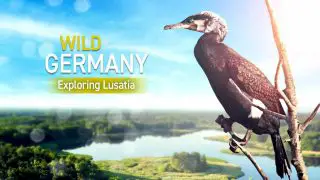 Wild Germany – Exploring Lusatia 2013