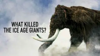 What Killed the Ice Age Giants? 2019
