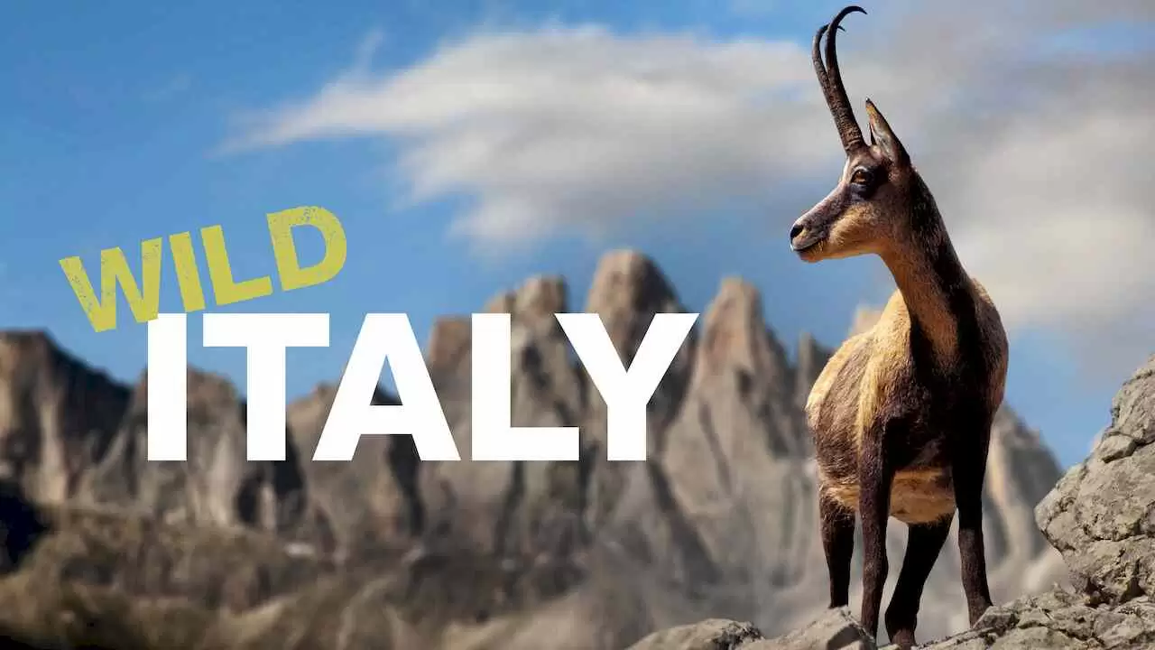 Wild Italy2014