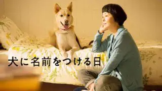 Dogs Without Names (Inu ni namae wo tsukeru hi) 2015