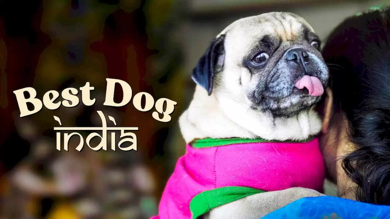 Best Dog India2021